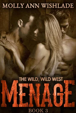 Molly Wishlade Menage: A scandalous Western romance обложка книги