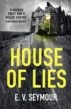 E. Seymour House of Lies: A gripping thriller with a shocking twist обложка книги