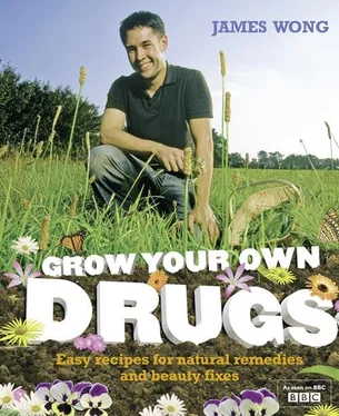 James Wong Grow Your Own Drugs: A Year With James Wong обложка книги