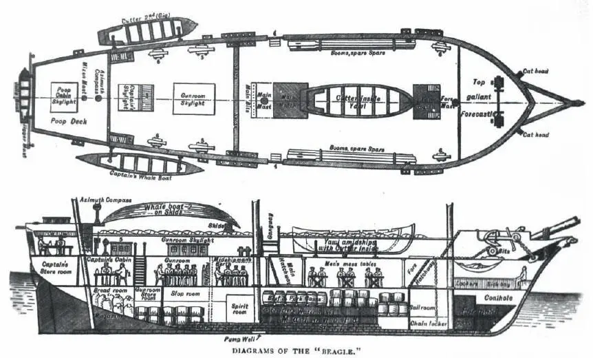 HMS Beagle as equipped for the voyage Darwin shared the poop cabin top left - фото 23
