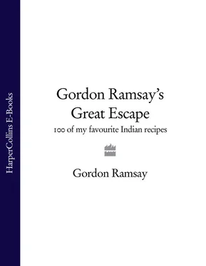 Gordon Ramsay Gordon Ramsay’s Great Escape: 100 of my favourite Indian recipes обложка книги