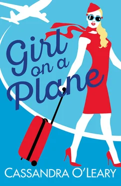 Cassandra O’Leary Girl on a Plane: A sexy, sassy, holiday read обложка книги