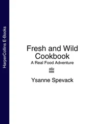 Ysanne Spevack - Fresh and Wild Cookbook - A Real Food Adventure