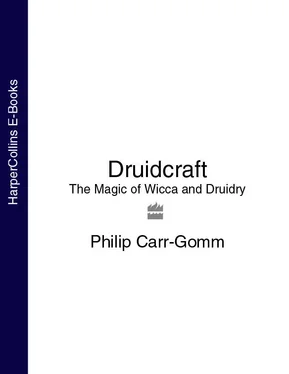 Philip Carr-Gomm Druidcraft: The Magic of Wicca and Druidry обложка книги