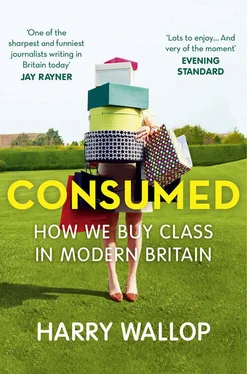 Harry Wallop Consumed: How We Buy Class in Modern Britain обложка книги