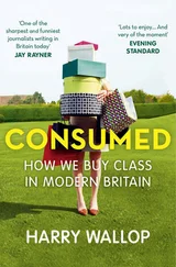 Harry Wallop - Consumed - How We Buy Class in Modern Britain