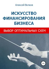 Алексей Волков - Искусство финансирования бизнеса - выбор оптимальных схем