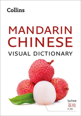 Collins Dictionaries Collins Mandarin Chinese Visual Dictionary обложка книги