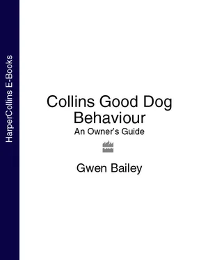 Gwen Bailey Collins Good Dog Behaviour: An Owner’s Guide обложка книги