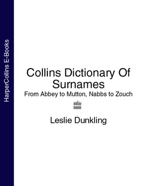 Leslie Dunkling Collins Dictionary Of Surnames: From Abbey to Mutton, Nabbs to Zouch обложка книги