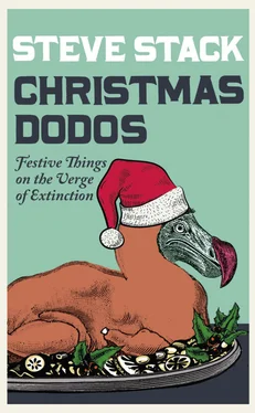 Steve Stack Christmas Dodos: Festive Things on the Verge of Extinction обложка книги