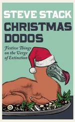 Steve Stack - Christmas Dodos - Festive Things on the Verge of Extinction