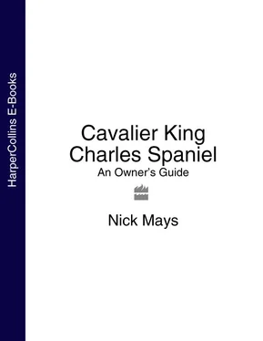 Nick Mays Cavalier King Charles Spaniel: An Owner’s Guide обложка книги