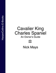 Nick Mays - Cavalier King Charles Spaniel - An Owner’s Guide
