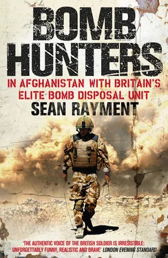 Sean Rayment Bomb Hunters: In Afghanistan with Britain’s Elite Bomb Disposal Unit обложка книги