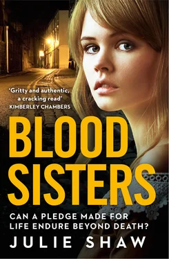Julie Shaw Blood Sisters: Can a pledge made for life endure beyond death? обложка книги