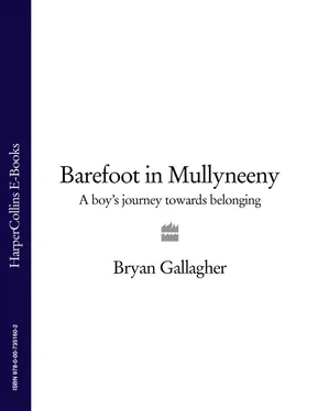 Bryan Gallagher Barefoot in Mullyneeny: A Boy’s Journey Towards Belonging обложка книги