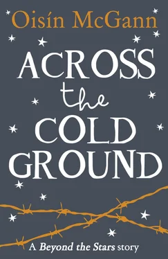 Oisin McGann Across the Cold Ground: Beyond the Stars обложка книги