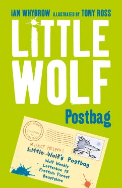 Tony Ross Little Wolf’s Postbag обложка книги