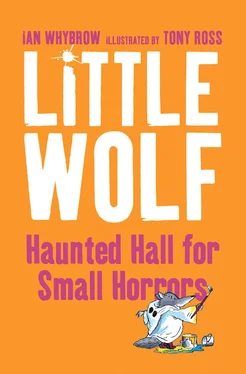 Tony Ross Little Wolf’s Haunted Hall for Small Horrors обложка книги