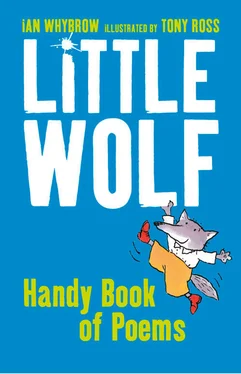 Tony Ross Little Wolf’s Handy Book of Poems обложка книги