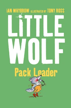 Tony Ross Little Wolf, Pack Leader обложка книги