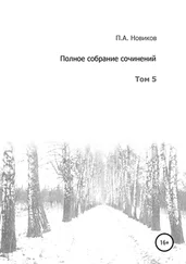 Павел Новиков - Полное собрание сочинений. Том 5