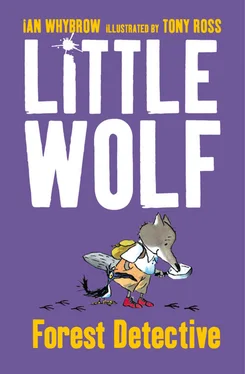 Tony Ross Little Wolf, Forest Detective обложка книги
