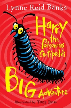 Tony Ross Harry the Poisonous Centipede’s Big Adventure обложка книги