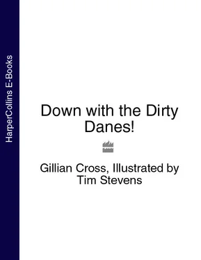 Gillian Cross Down with the Dirty Danes! обложка книги