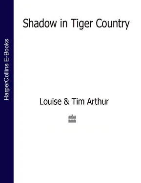 Louise Arthur Shadow in Tiger Country обложка книги