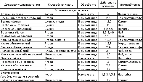 Встреча с Кощеем Бессмертным Практика бессмертия - фото 98