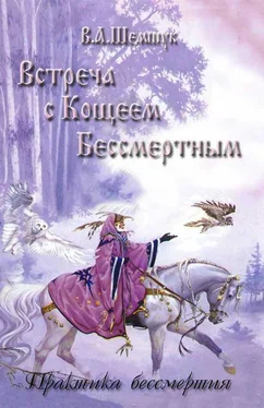 Владимир Шемшук Встреча с Кощеем Бессмертным. Практика бессмертия обложка книги