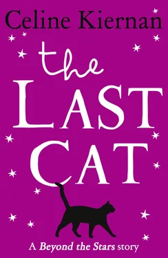 Tatyana Feeney The Last Cat: Beyond the Stars обложка книги