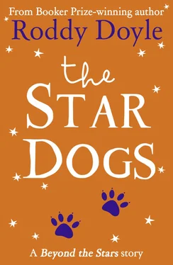 Roddy Doyle The Star Dogs: Beyond the Stars обложка книги