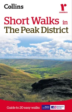 Collins Maps Short walks in the Peak District обложка книги