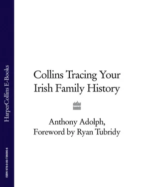Ryan Tubridy Collins Tracing Your Irish Family History обложка книги