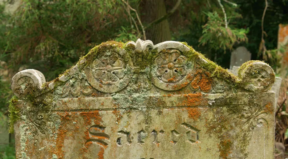 ST JUSTINROSELAND ST JUST coastal lichen and moss on one of the headstones - фото 5