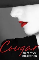 Elizabeth Coldwell - Cougar - An Erotica Collection