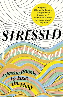 Jonathan Bate Stressed, Unstressed: Classic Poems to Ease the Mind обложка книги