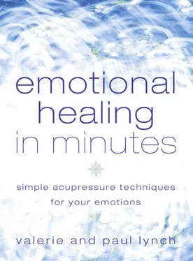 Paul Lynch Emotional Healing in Minutes: Simple Acupressure Techniques For Your Emotions обложка книги