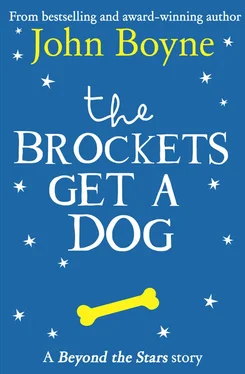 Paul Howard The Brockets Get a Dog: Beyond the Stars обложка книги