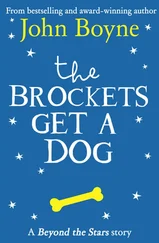 Paul Howard - The Brockets Get a Dog - Beyond the Stars