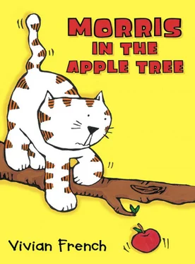 Vivian French Morris in the Apple Tree обложка книги