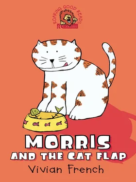 Vivian French Morris and the Cat Flap обложка книги
