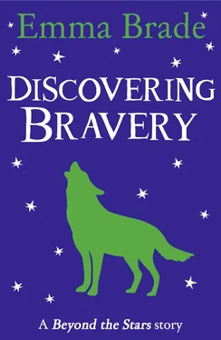 Niamh Sharkey Discovering Bravery: Beyond the Stars обложка книги