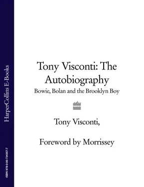 Morrissey Morrissey Tony Visconti: The Autobiography: Bowie, Bolan and the Brooklyn Boy обложка книги