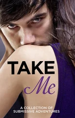 Victoria Blisse - Take Me - A Collection of Submissive Adventures