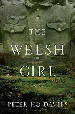 Peter Davies The Welsh Girl обложка книги