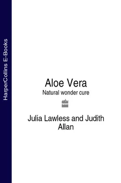 Julia Lawless Aloe Vera: Natural wonder cure обложка книги